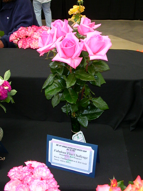 Rose Photo